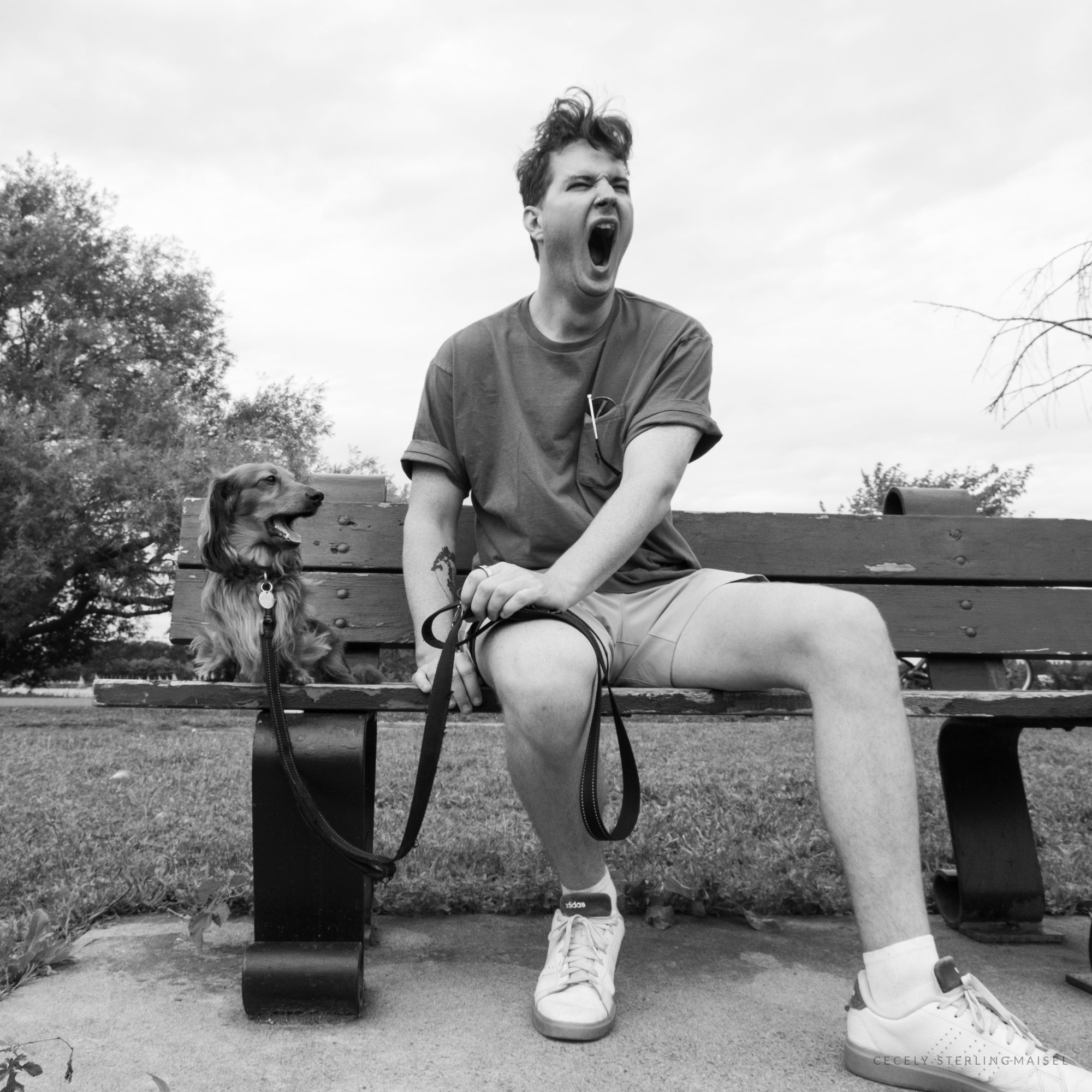 Black and white photo of a man mid-yawn on a park bench, holding a leash, with a long-haired dachshund sitting alertly beside him.