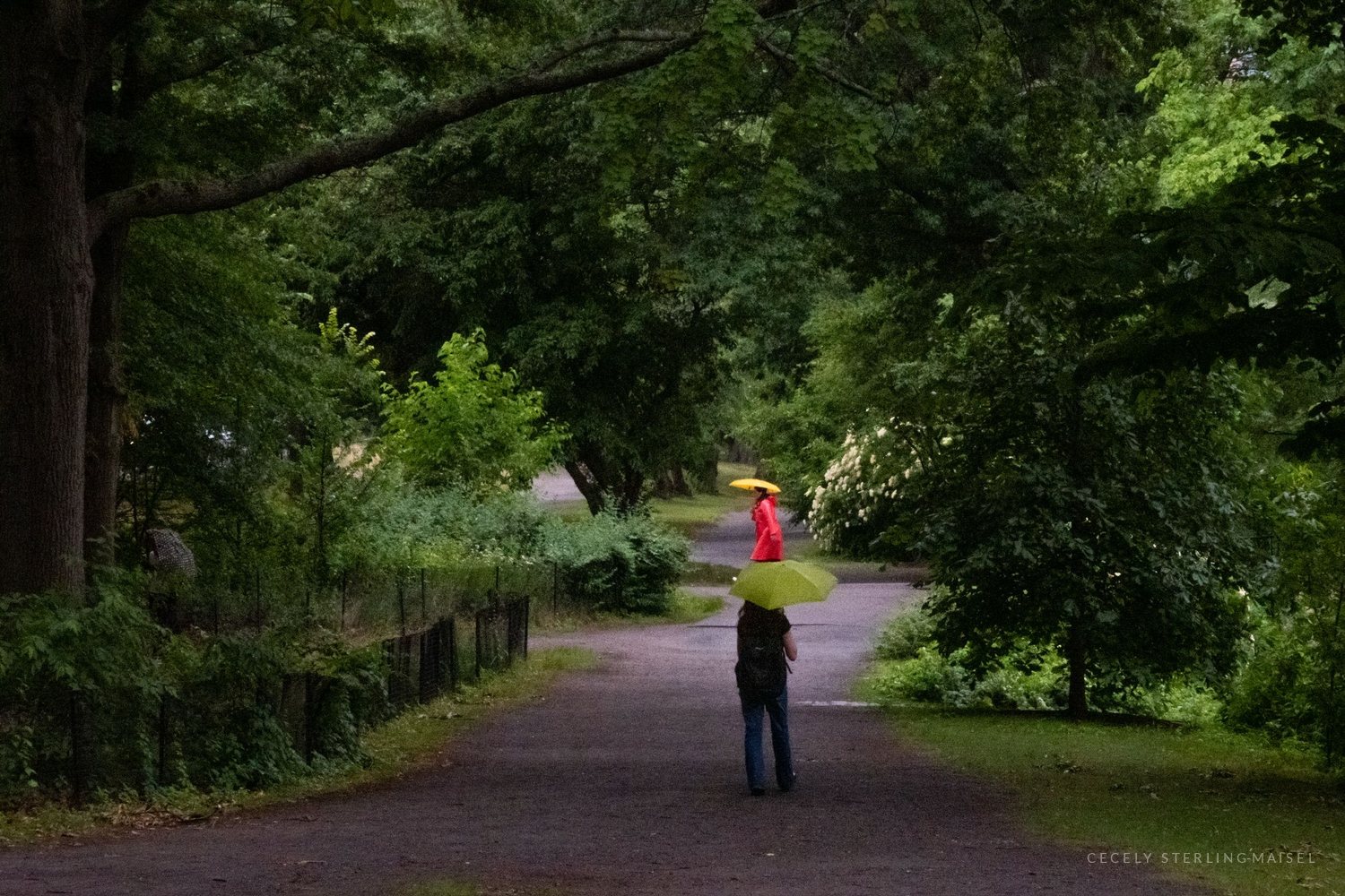 A person on a shaded woodland path holding a green umbrella, a figure in red further ahead.