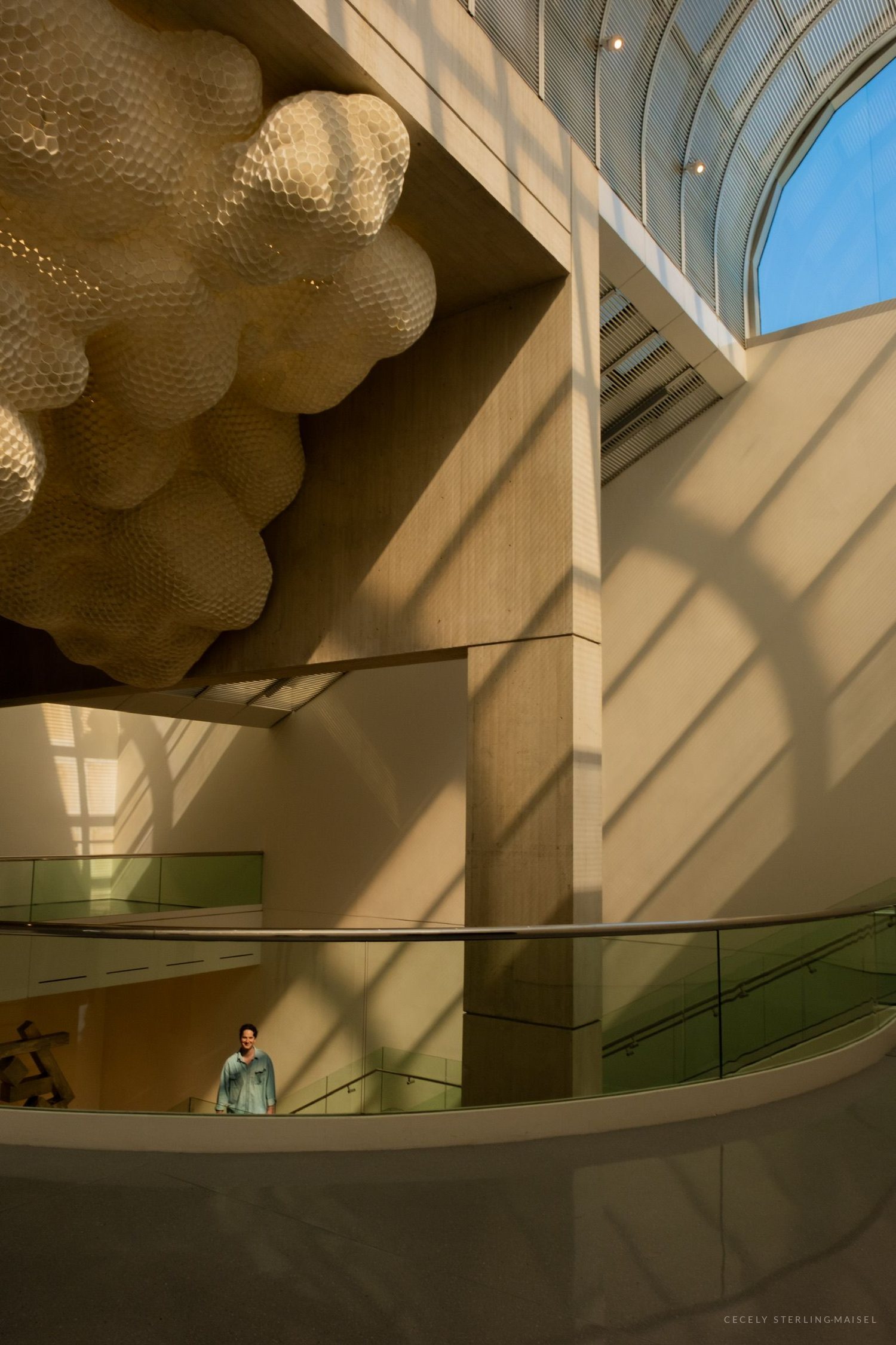 A cloud-like sculptural form above a curved interior balcony, sunlight raking across pale walls.