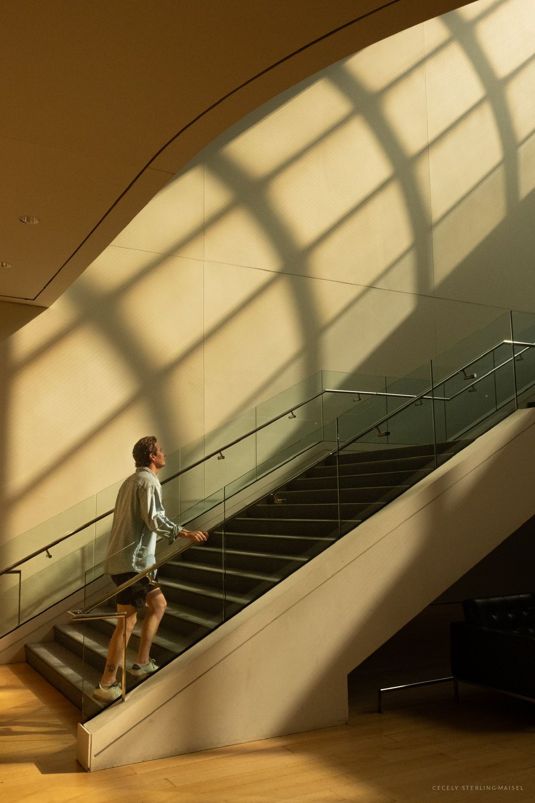 A figure descending a pale curved staircase, a grid of window shadow falling across the wall behind.