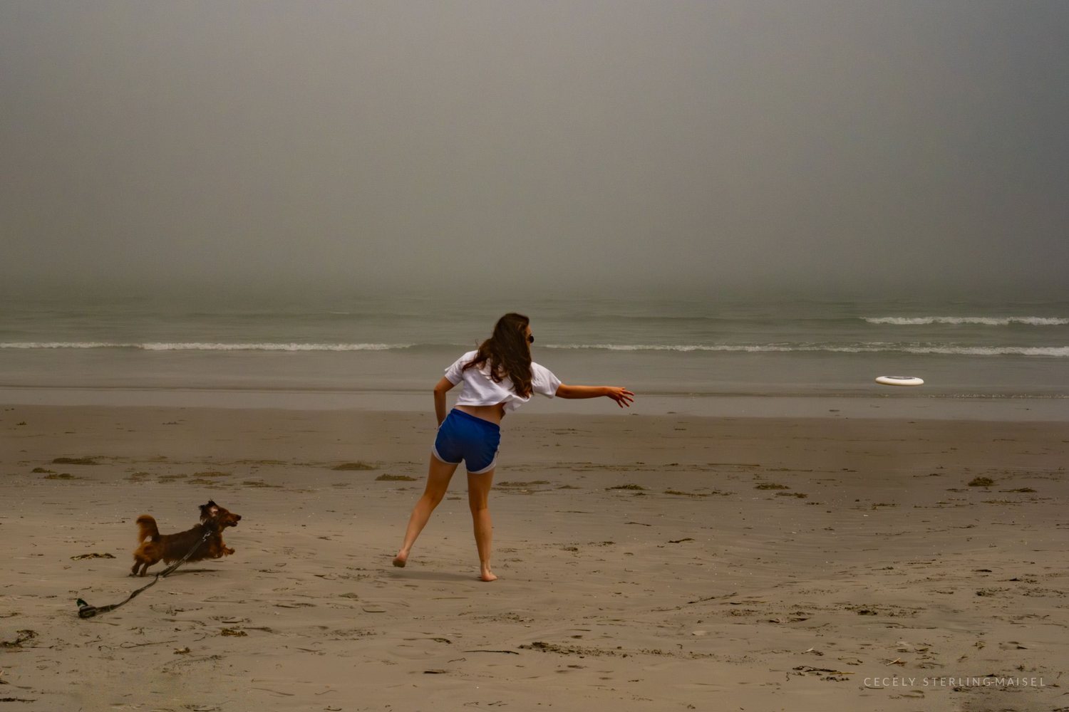 A woman throwing a ball for a running dog on an empty beach under heavy grey haze.