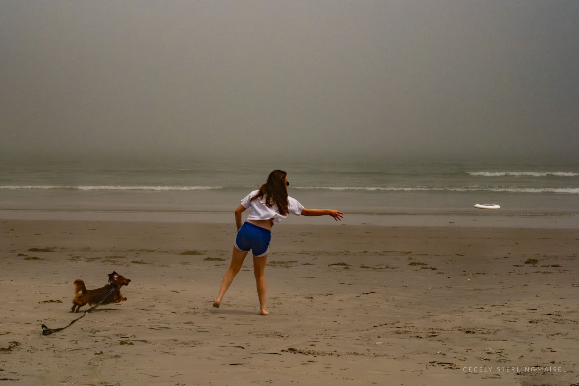 A woman throwing a ball for a running dog on an empty beach under heavy grey haze.