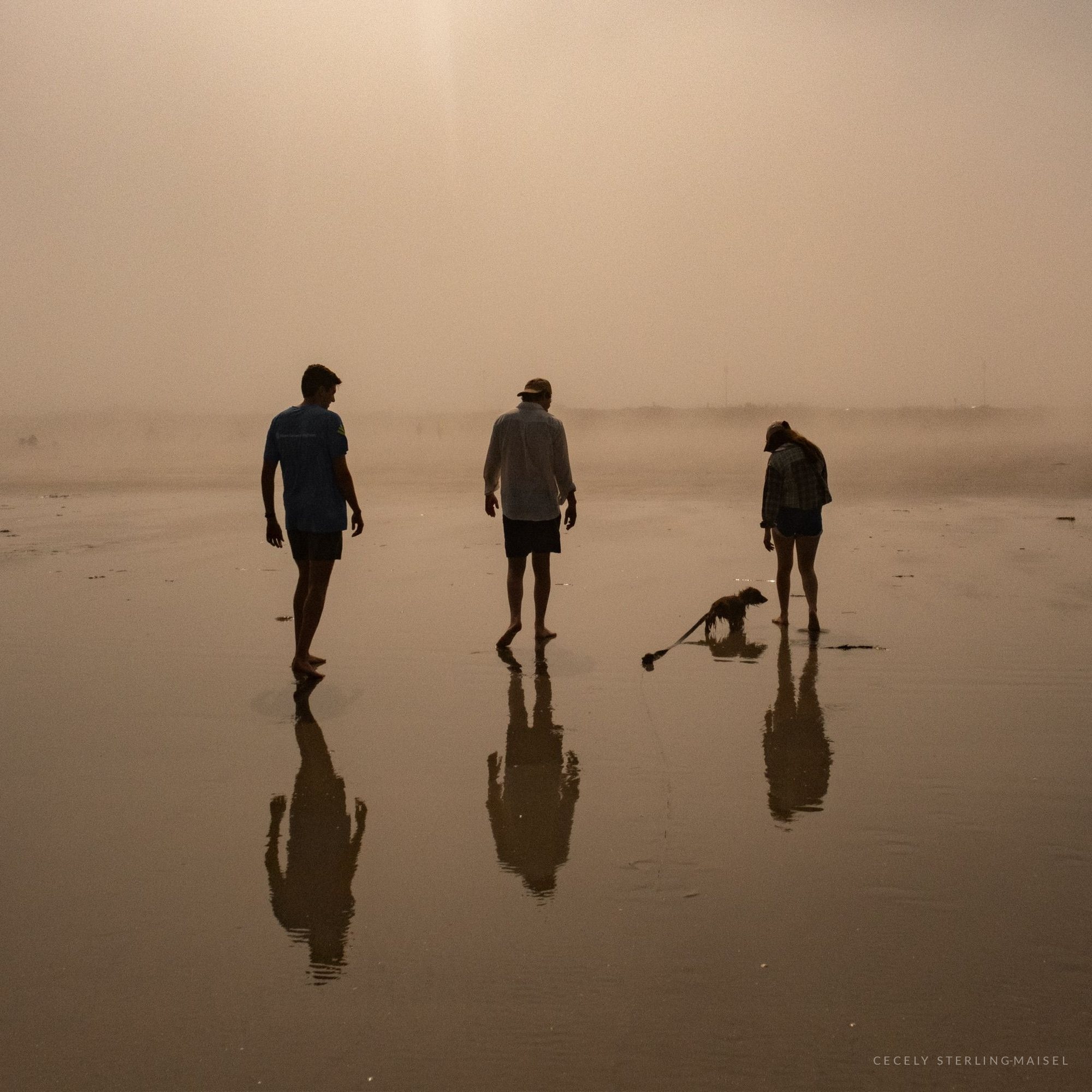 Three people and a dog walking across wet sand in warm sea fog, their reflections mirrored beneath them.