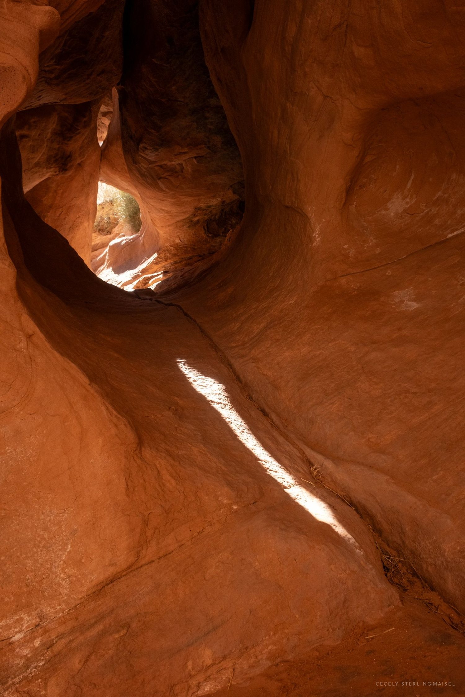 A narrow slot canyon curving upward, one bright streak of sunlight running along its polished floor.