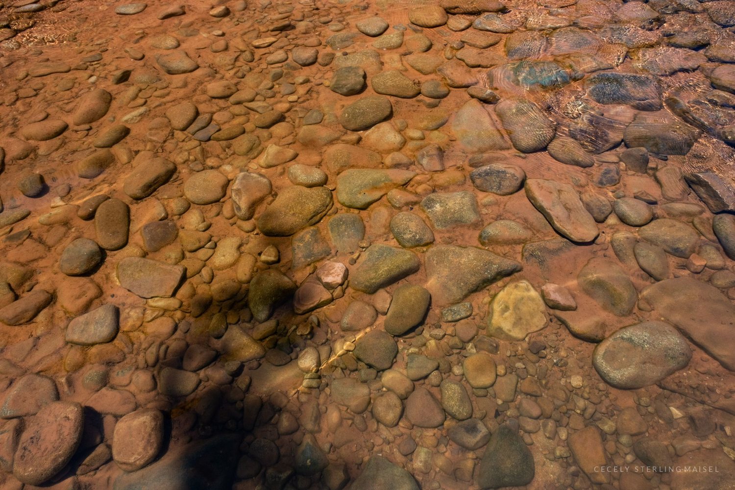 Rounded cobbles of red, green and grey lying under a few inches of clear water.