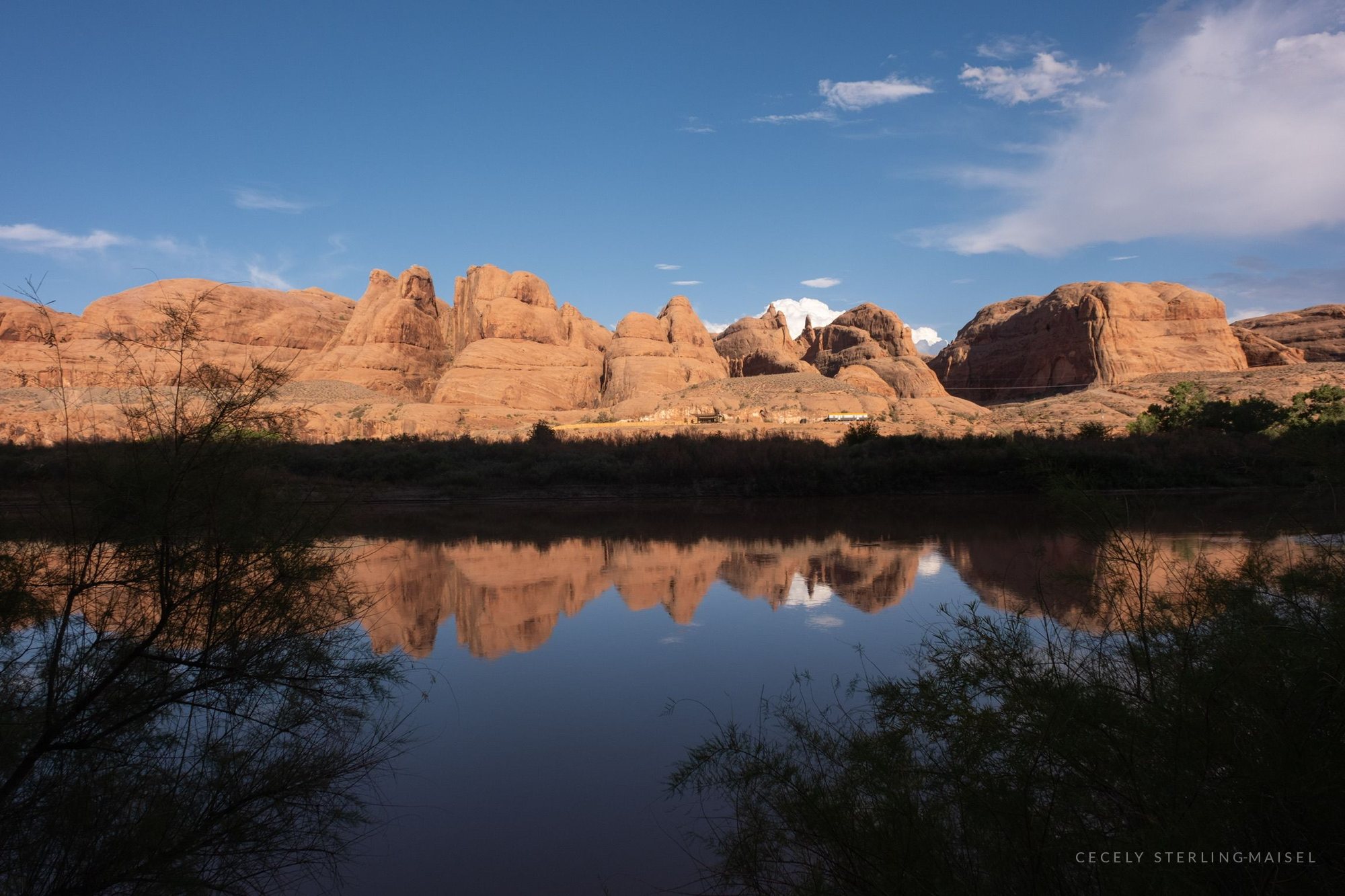 Red rock domes and a line of trees mirrored in flat water under a deep blue sky.