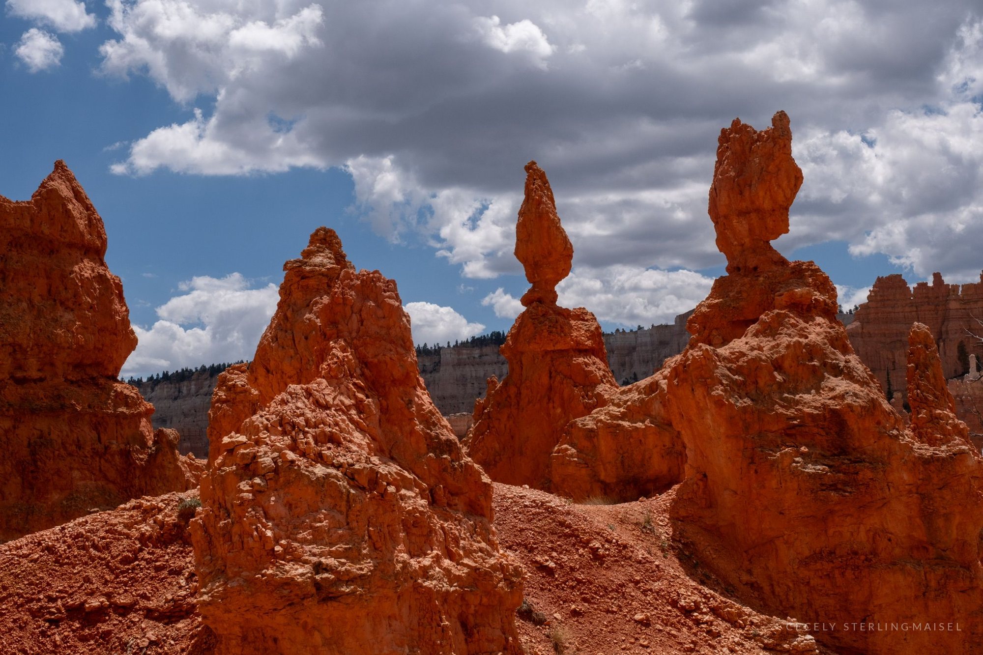 A row of hoodoos, one balancing a dark cap stone, against tall summer cumulus.