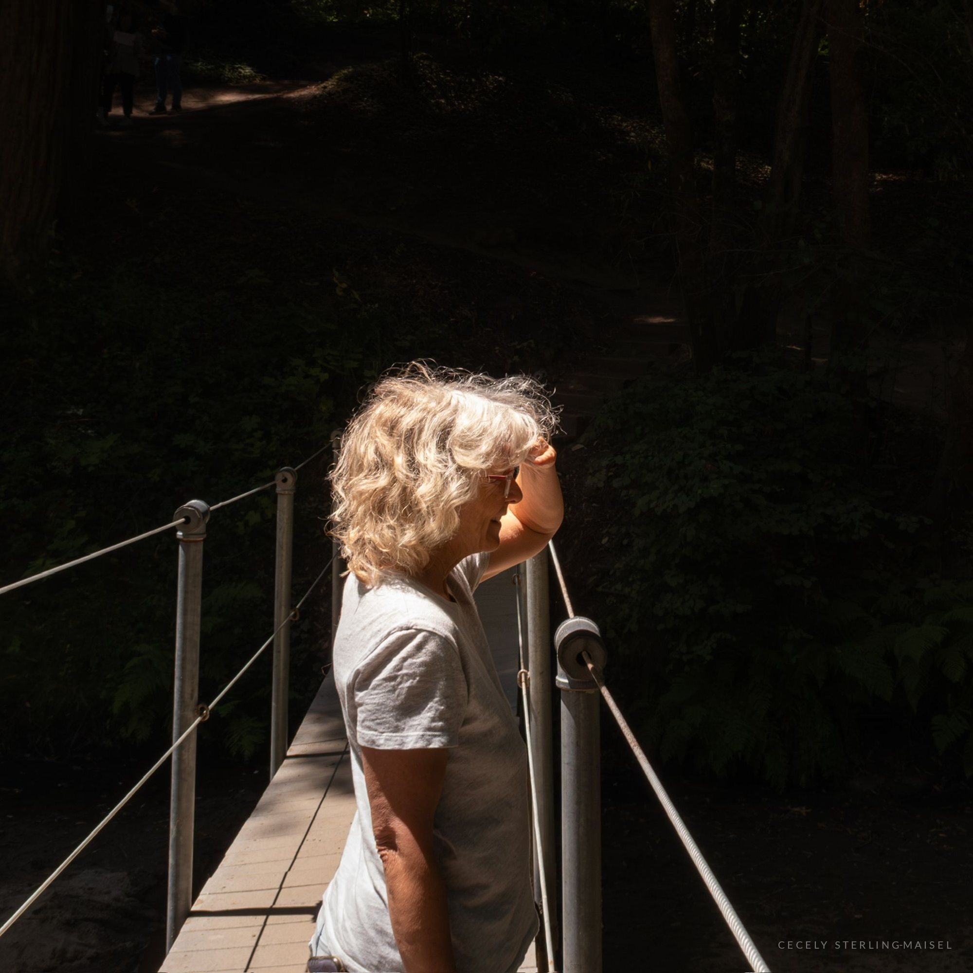 A woman standing on a narrow footbridge in dappled woodland, shading her eyes to look out.